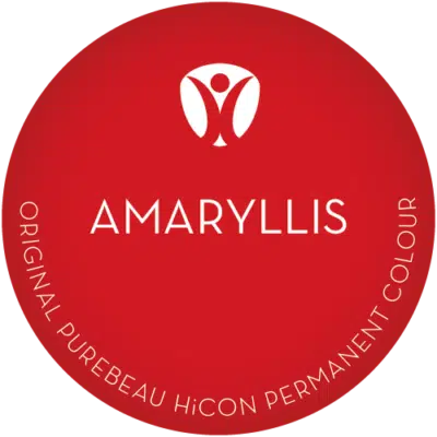 LP amaryllis